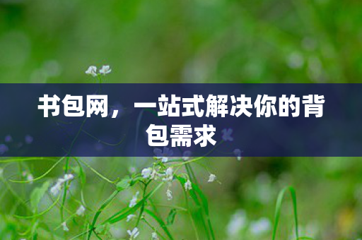 一站式解决你的背包需求图片