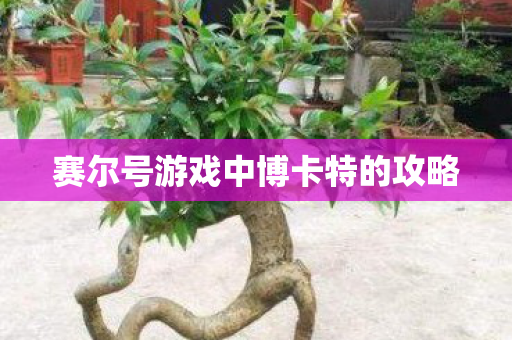 赛尔号游戏中博卡特的攻略图片