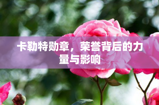 荣誉背后的力量与影响图片
