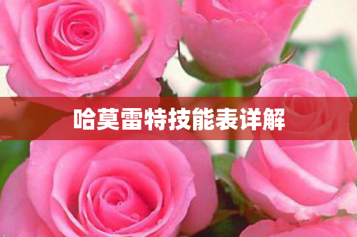 哈莫雷特技能表详解图片