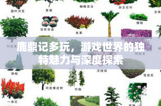 游戏世界的独特魅力与深度探索图片