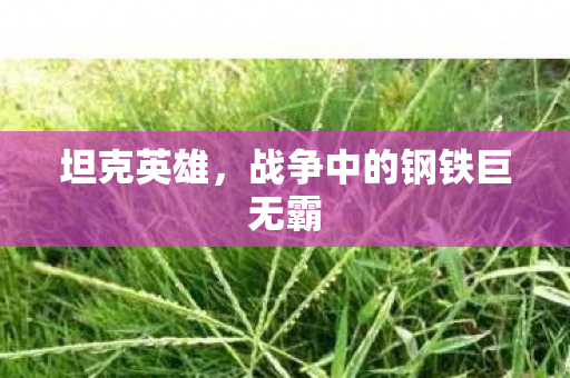 战争中的钢铁巨无霸图片