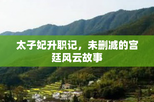 未删减的宫廷风云故事图片