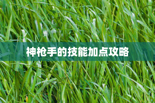 神枪手的技能加点攻略图片