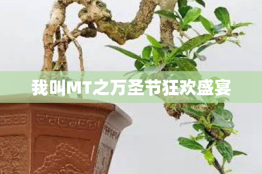 我叫MT之万圣节狂欢盛宴图片