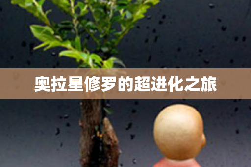 奥拉星修罗的超进化之旅图片