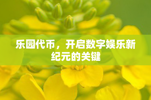 开启数字娱乐新纪元的关键图片