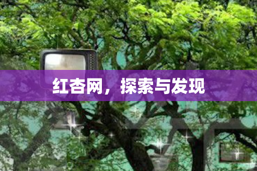探索与发现图片
