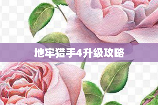 地牢猎手4升级攻略图片