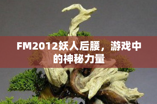 FM2012妖人后腰图片