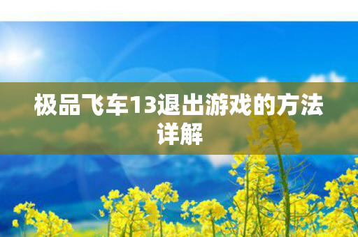 极品飞车13退出游戏的方法详解图片
