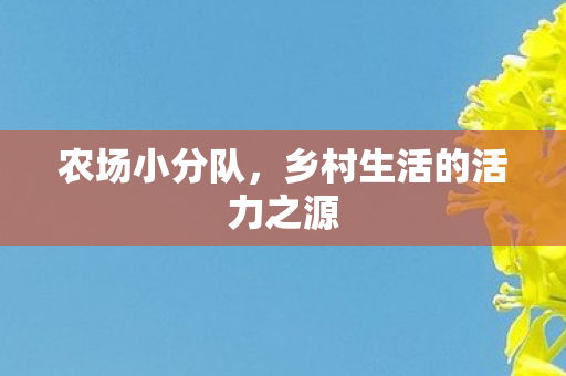 乡村生活的活力之源图片