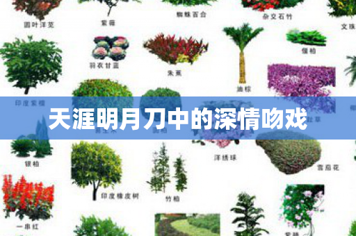 天涯明月刀中的深情吻戏图片