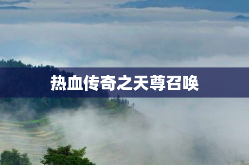 热血传奇之天尊召唤图片