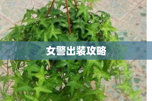 女警出装攻略图片