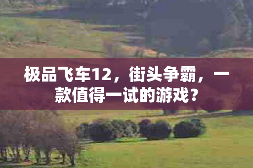 一款值得一试的游戏图片