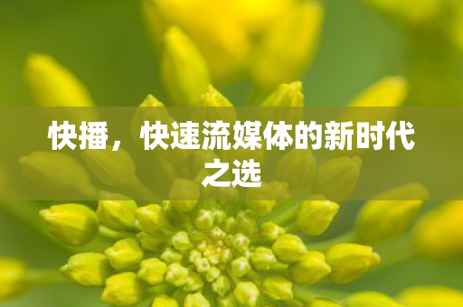 快速流媒体的新时代之选图片
