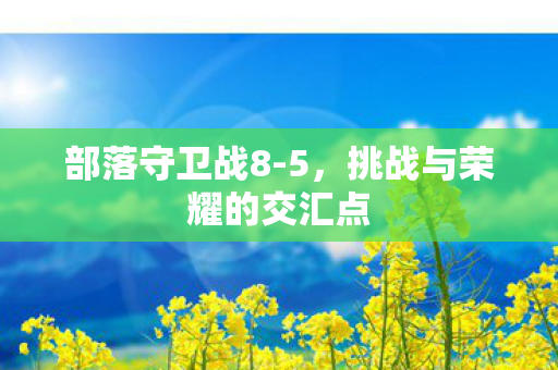 挑战与荣耀的交汇点图片