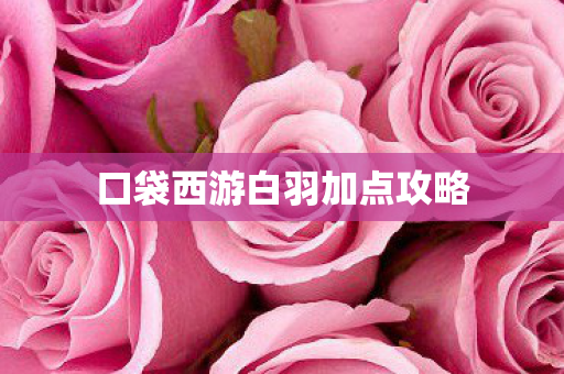口袋西游白羽加点攻略图片