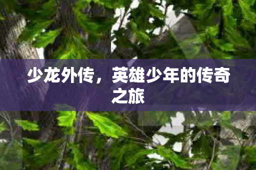 英雄少年的传奇之旅图片