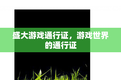 游戏世界的通行证图片