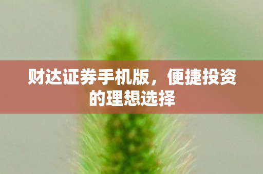 便捷投资的理想选择图片