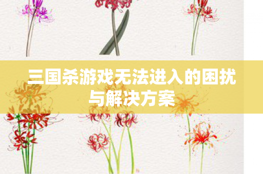 三国杀游戏无法进入的困扰与解决方案图片