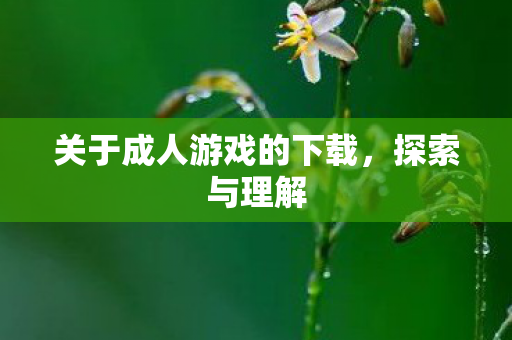 关于成人游戏的下载图片