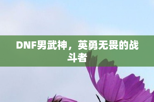 英勇无畏的战斗者图片