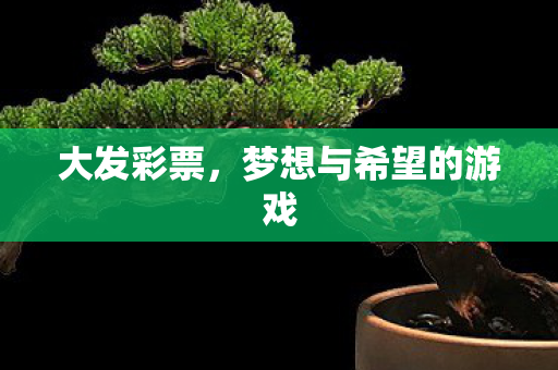 梦想与希望的游戏图片