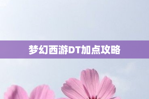 梦幻西游DT加点攻略图片