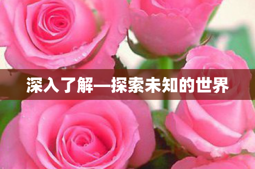 探索未知的世界图片