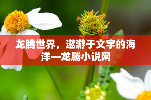 遨游于文字的海洋图片