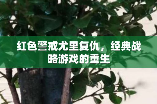 经典战略游戏的重生图片
