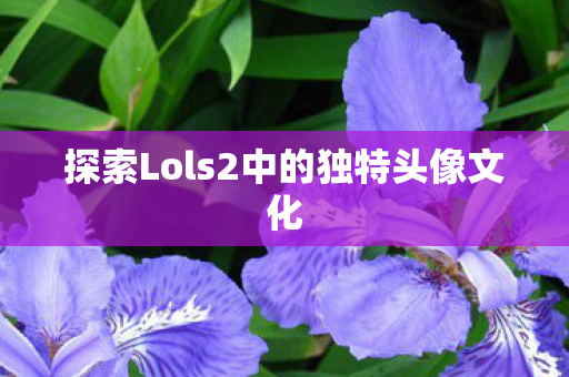 探索Lols2中的独特头像文化图片