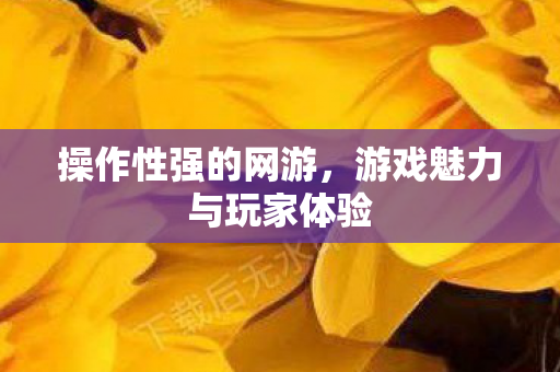 游戏魅力与玩家体验图片