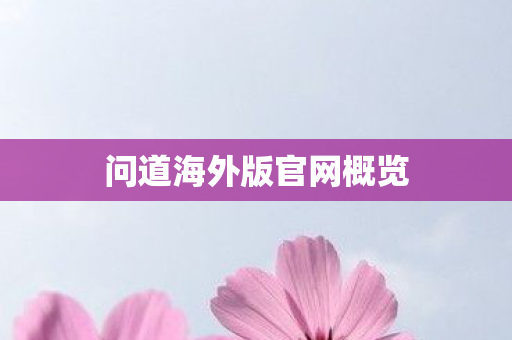 问道海外版官网概览图片