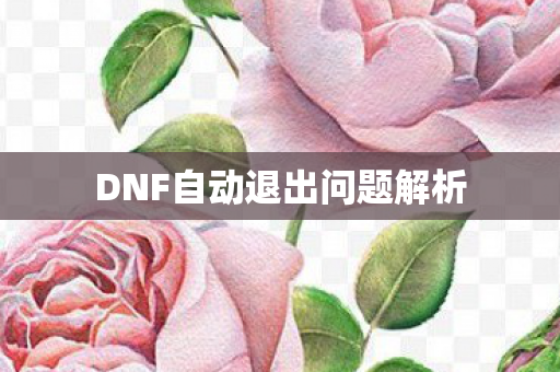 DNF自动退出问题解析图片