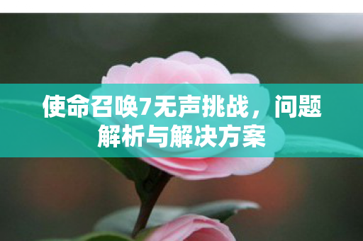 使命召唤7无声挑战图片