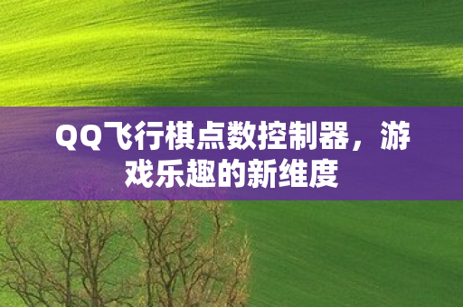 QQ飞行棋点数控制器图片
