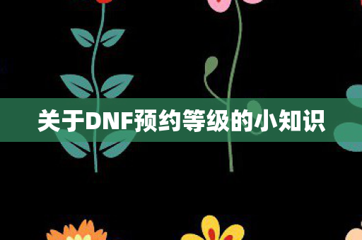 关于DNF预约等级的小知识图片