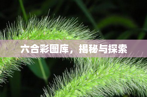 六合彩图库图片