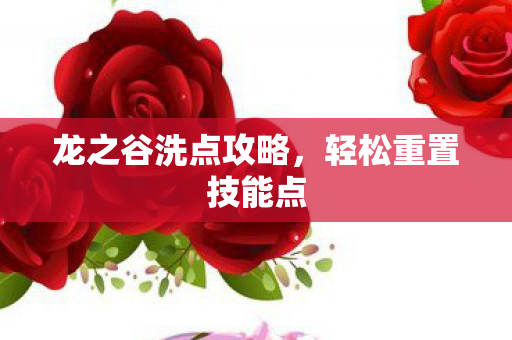 龙之谷洗点攻略图片