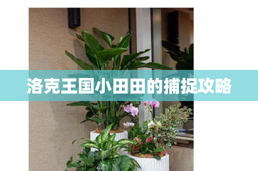 洛克王国小田田的捕捉攻略图片