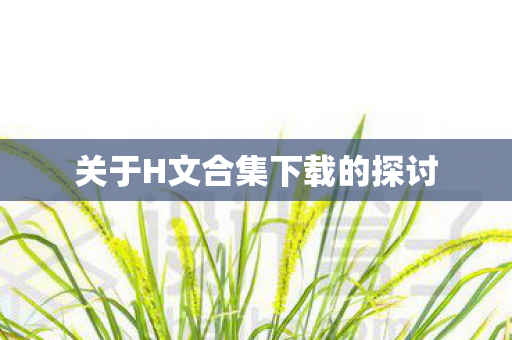 关于H文合集下载的探讨图片