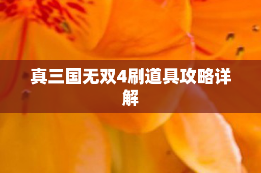 真三国无双4刷道具攻略详解图片