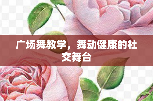 舞动健康的社交舞台图片