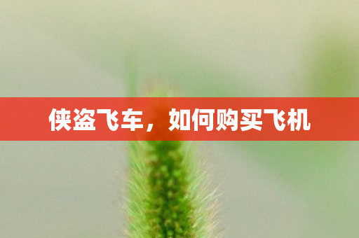 如何购买飞机图片