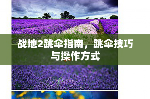 跳伞技巧与操作方式图片