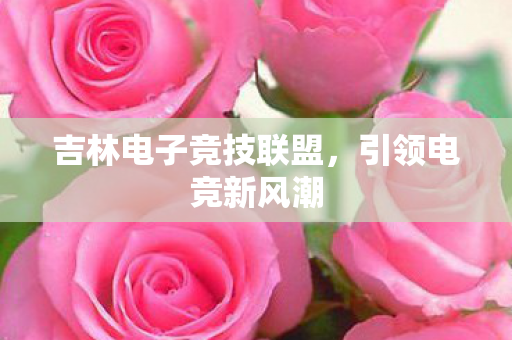 吉林电子竞技联盟图片
